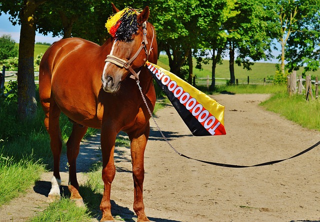 提高了整体 提高了整体