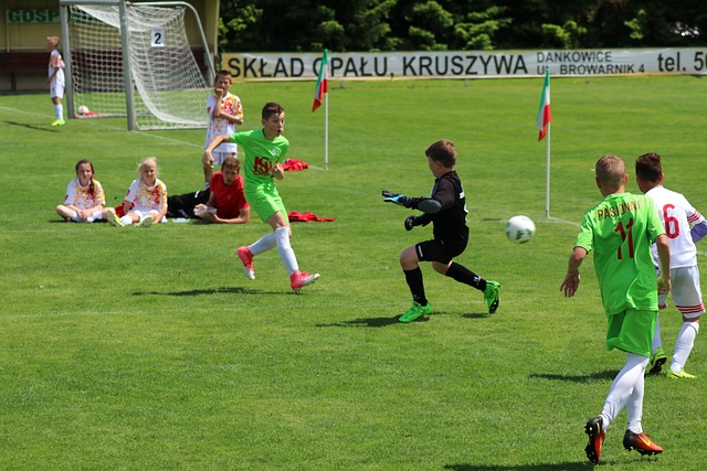 彩比赛的缩 彩比赛的缩