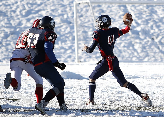 法行云流水 法行云流水
